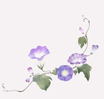 thumbnail 148*82