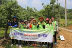 thumbnail 148*82