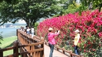 thumbnail 148*82