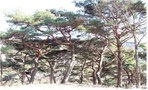 thumbnail 148*82