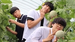 thumbnail 148*82