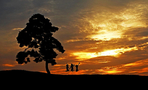 thumbnail 148*82