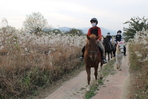 thumbnail 148*82