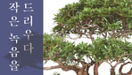 thumbnail 148*82