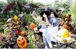 thumbnail 148*82