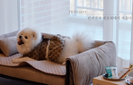 thumbnail 148*82