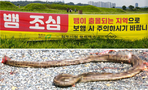 thumbnail 148*82