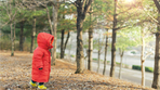 thumbnail 148*82