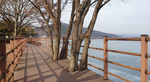 thumbnail 148*82