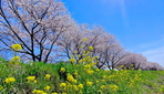 thumbnail 148*82