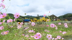 thumbnail 148*82