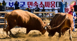 thumbnail 148*82
