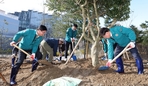thumbnail 148*82