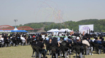 thumbnail 148*82