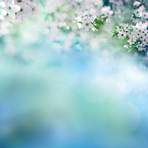thumbnail 148*82